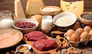 معلومات مهمة عن البروتينات