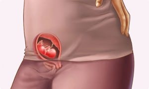الاسبوع الحادي عشر من الحمل
