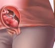 الاسبوع التاسع عشر من الحمل
