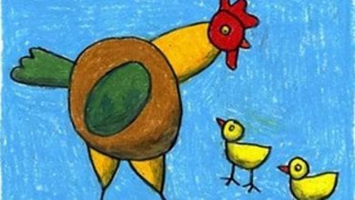 Photo of كيفية رسم دجاجة بالصور وببساطة خطوة بخطوة