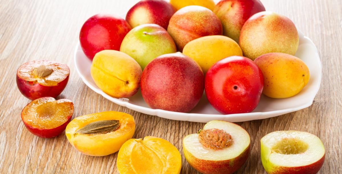 7 وصفات لسلطة الفواكه شهية