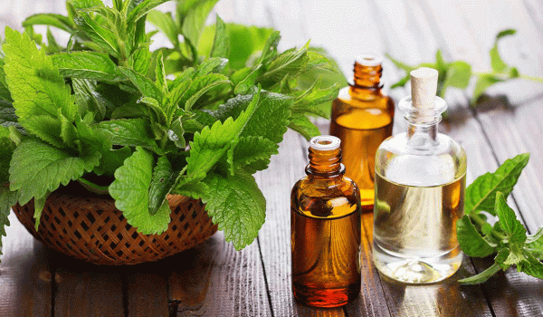 طرق القضاء على النـمل و حشرات الصيف