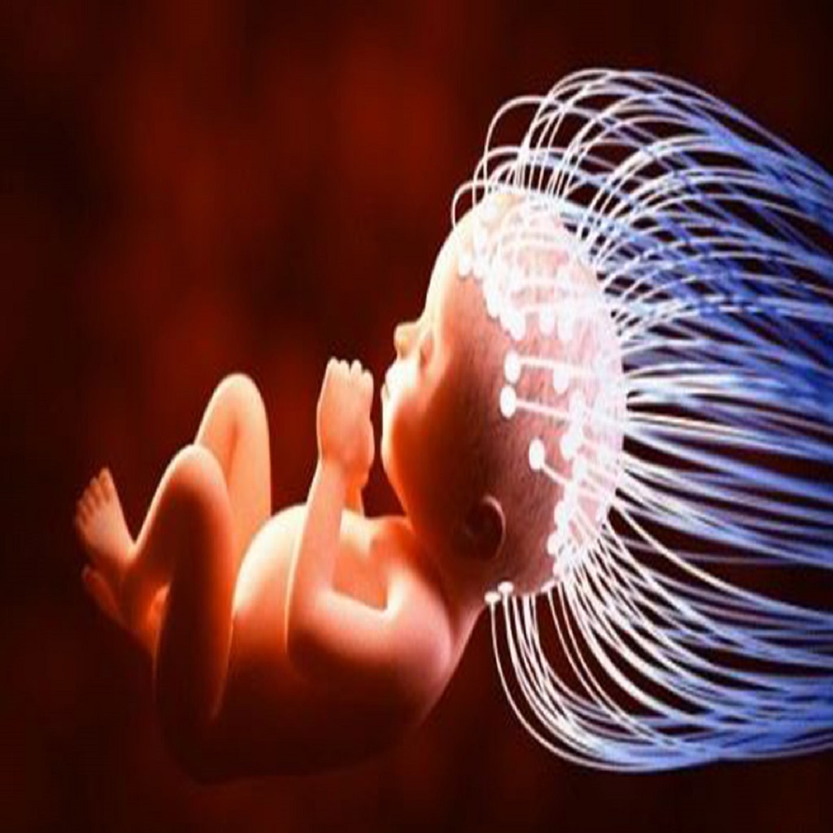 كيف تطمئني على صحة الجنين في الحمل