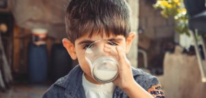 أصناف ممنوعة في وجبات المدرسة