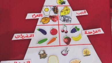 Photo of كيف تعلمي طفلك ما هو مفيد وما هو ضار في الطعام