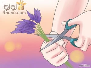 طريقة عمل زيت اللافندر وبلسم اللافندر فى المنزل بالصور
