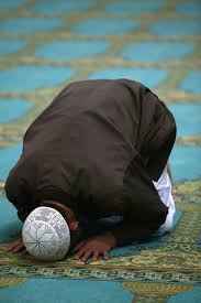 ازرع في الدنيا لتعمر الاخرة