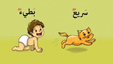 Photo of صور تعليم الطفل الكلمة وعكسها
