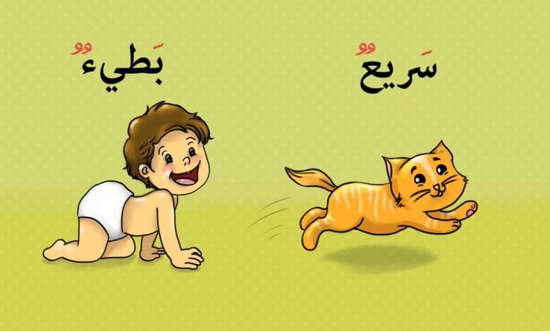 صور تعليم الطفل الكلمة وعكسها