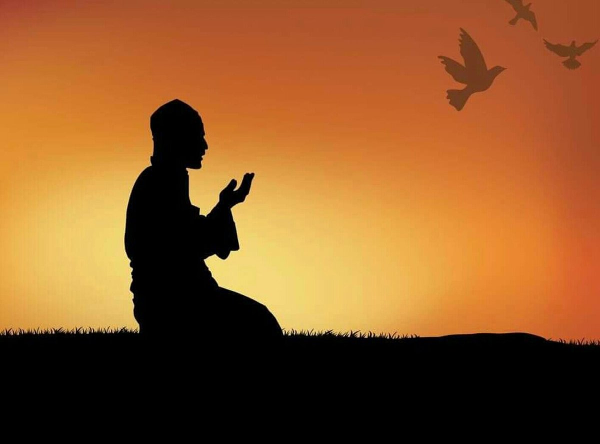 هل الحياه ضحك ولعب وجد وحب وبس