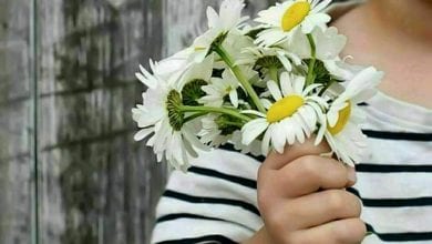 Photo of اخرج المشاعر الحلوة وتعلم أن تعيش الحياة بأبتسامة