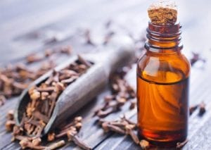 فوائد القرنفل للشعر وحماية فروة الرأس
