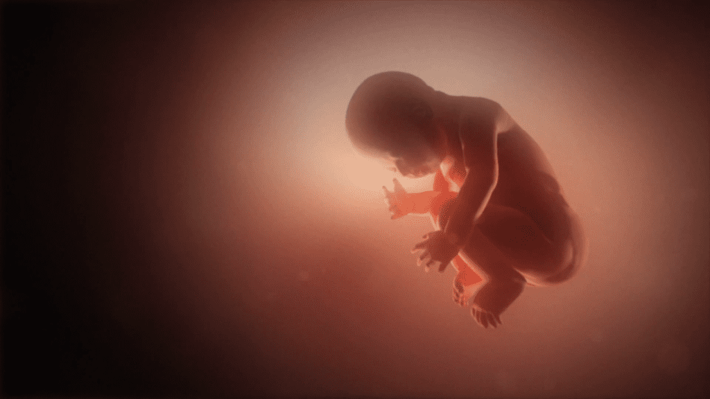 كيف أحمى جنينى من عيوب القلب الخلقيه