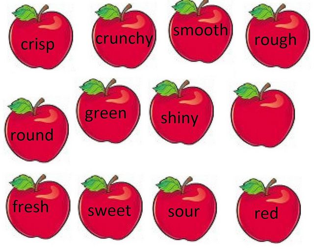 شرح درس الصفة Adjective فى الإنجليزية بالتفصيل