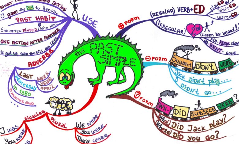 شرح الماضى البسيط The past Simple Tense بالتفصيل