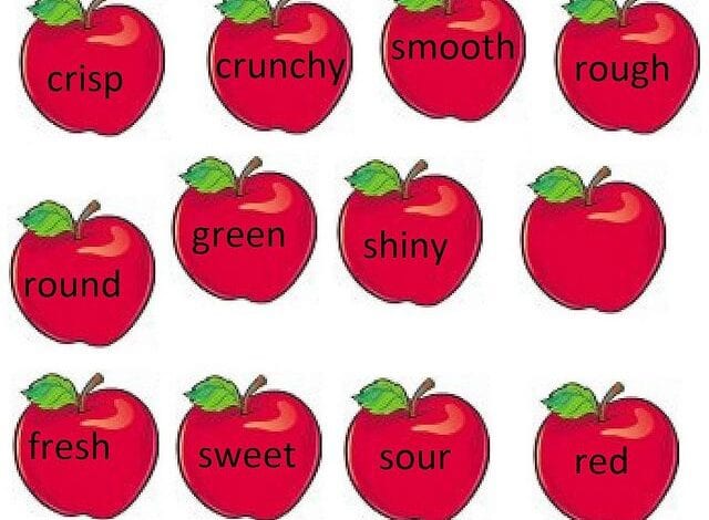 شرح درس الصفة Adjective فى الإنجليزية بالتفصيل
