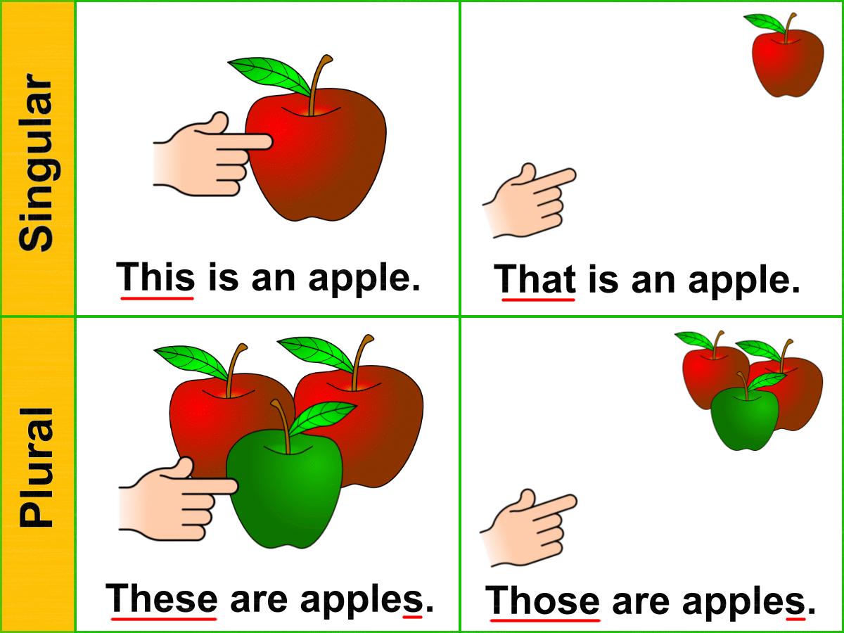 قواعد الجمع والمفرد Singular and plurals فى اللغة الانجليزية