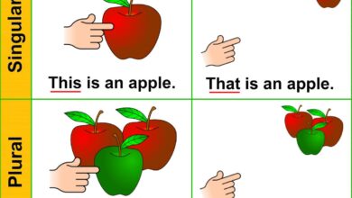 Photo of قواعد الجمع والمفرد Singular and plurals في اللغة الانجليزية
