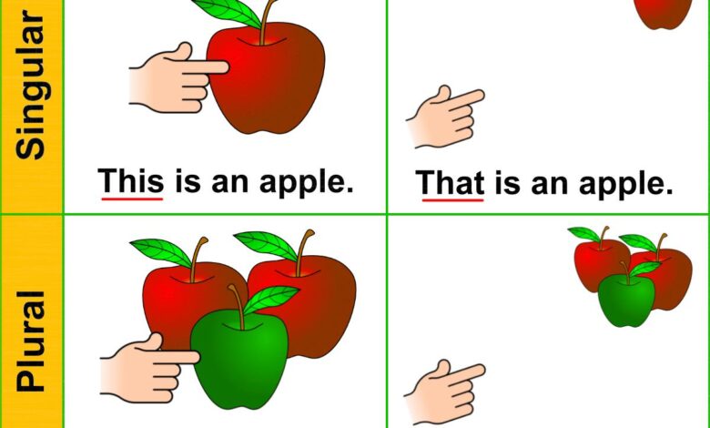 قواعد الجمع والمفرد Singular and plurals فى اللغة الانجليزية