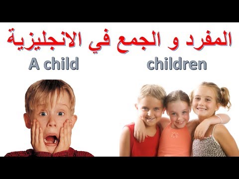 قواعد الجمع والمفرد Singular and plurals فى اللغة الانجليزية