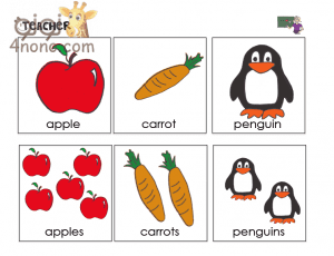 قواعد الجمع والمفرد Singular and plurals فى اللغة الانجليزية