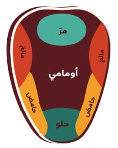 ما هى براعم التذوق وما اهميتها بالنسبة للانسان