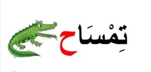 اللام الشمسية واللام القمرية و الثلاث حركات الأساسية