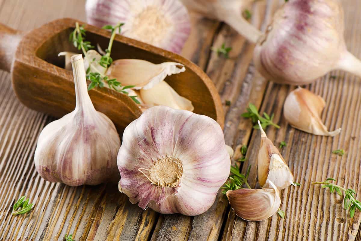 تخزين الثوم بالفريزر لا يسبب الوفاة
