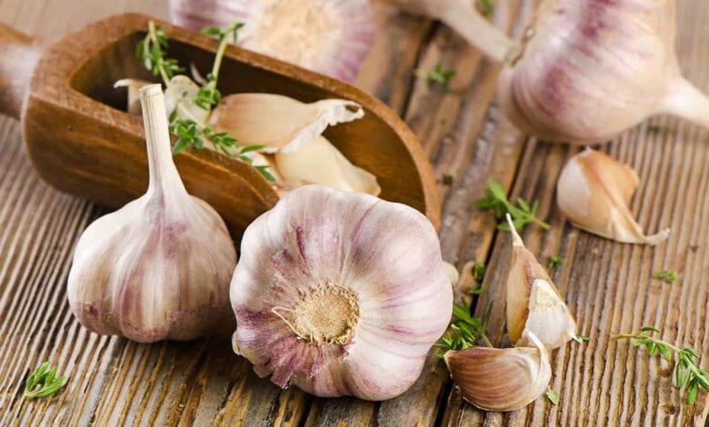 تخزين الثوم بالفريزر لا يسبب الوفاة