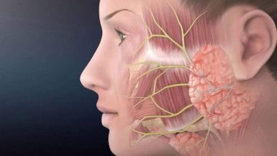 Photo of العصب السابع أعراضه وأسبابه و طرق علاج المشاكل الناتجة عنه