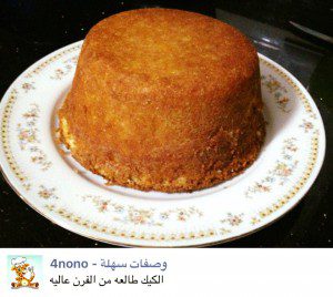 كيكة الجيلى الشهية من مطبخ نهير