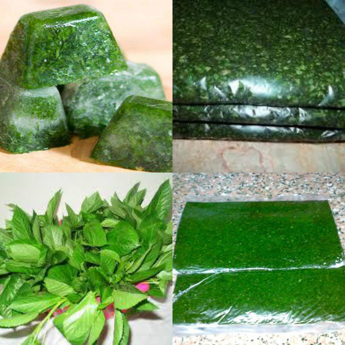 Photo of أسهل طريقة تخزين الملوخية في 5 دقائق