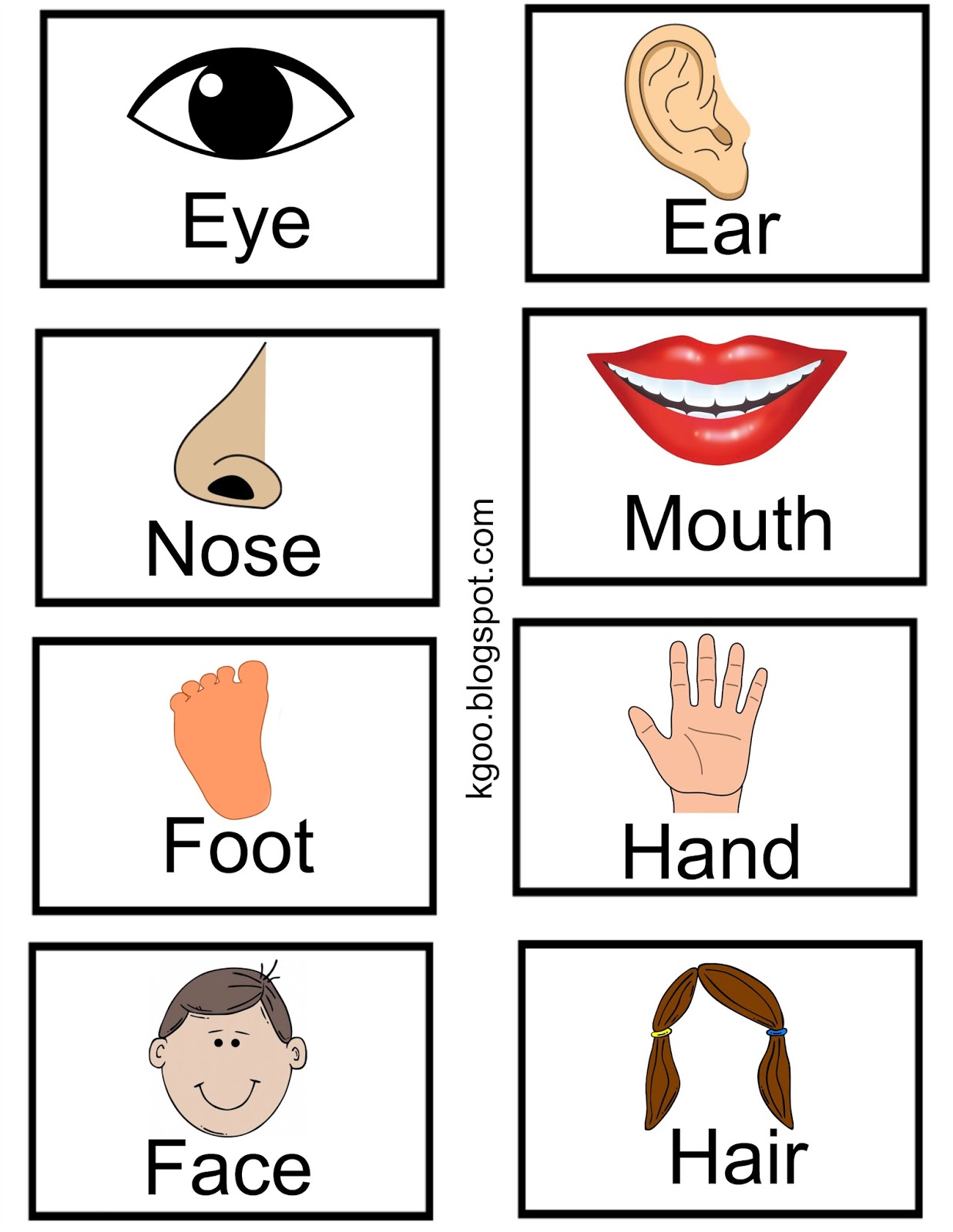 اجزاء الجسم بالانجليزي للاطفال والحواس الخمسة بالصور