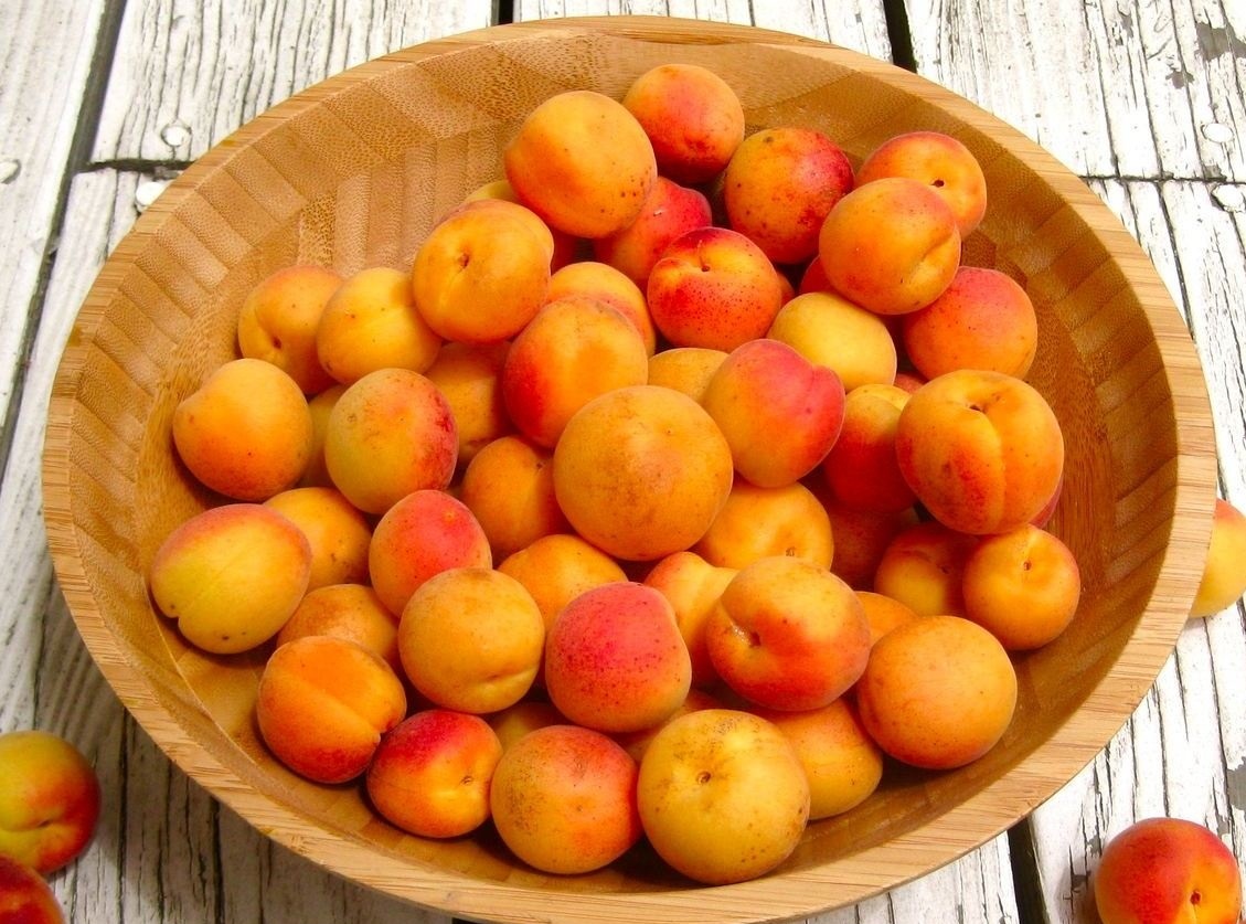 Photo of الطعام وعناصره الغذائية وطرق تحضيره – المشمش