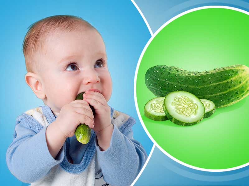فوائد الخيار للاطفال ومتى يمكنك تقديم الخيار لطفلك