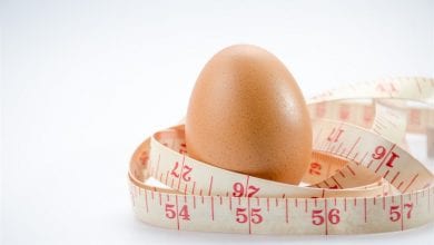 Photo of رجيم البيض المسلوق يخلصك من الوزن الزائد
