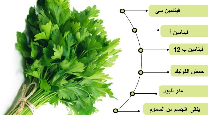 فوائد البقدونس الصحية و العلاجية