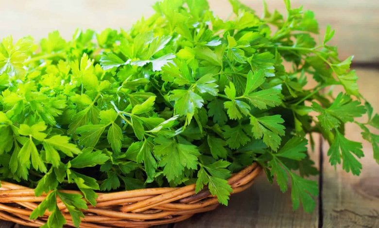 فوائد البقدونس الصحية و العلاجية