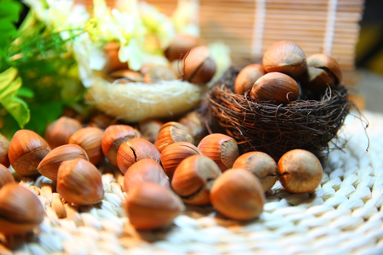 فوائد الكستناء للصحة ( أبو فروة )