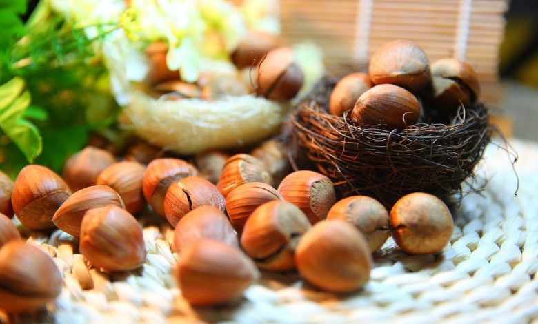 فوائد الكستناء للصحة ( أبو فروة )