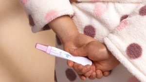 مرحلة ماقبل الحمل والإخصاب