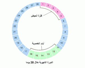 طرق طبيعية لزيادة الخصوبة عند المراة وتحسين الصحة