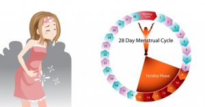 مرحلة ماقبل الحمل والإخصاب