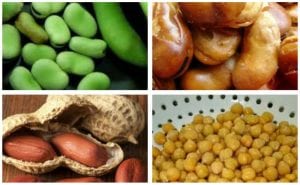 انيميا الفول مرض وراثي يصيب الذكور قد يُكتشف مصادفةً