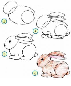 تعليم طريقة رسم ارنب بالخطوات والصور