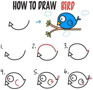 تعليم طريقة رسم عصفورة بالصور
