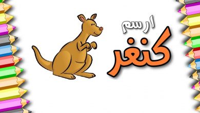 Photo of تعليم الطفل رسم الكنغر بالصور
