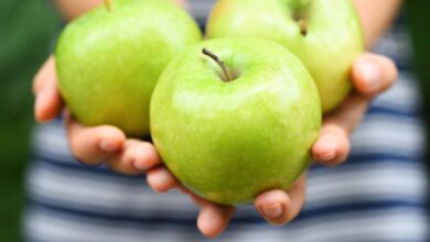 فوائد التفاح الاخضر تجعلك تتناوله في مقدمة طعامك