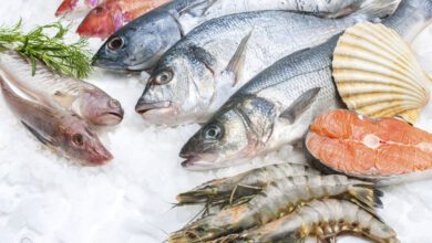 فوائد تناول الاسماك والمأكولات البحرية