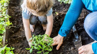 خمسه أشياء من حق الطفل علينا أن نعلمها له